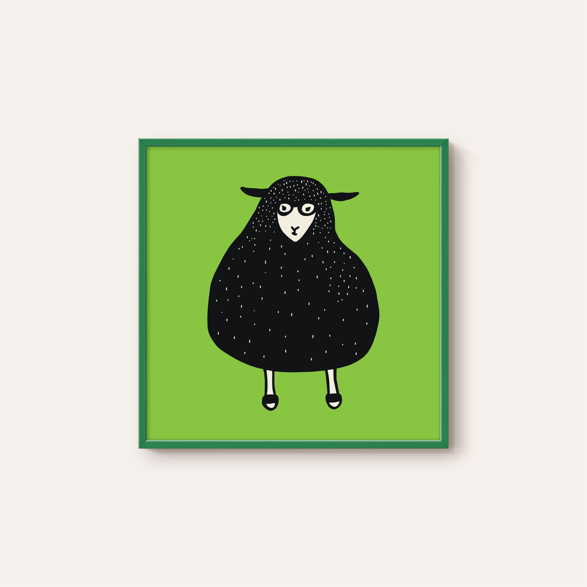 sheep