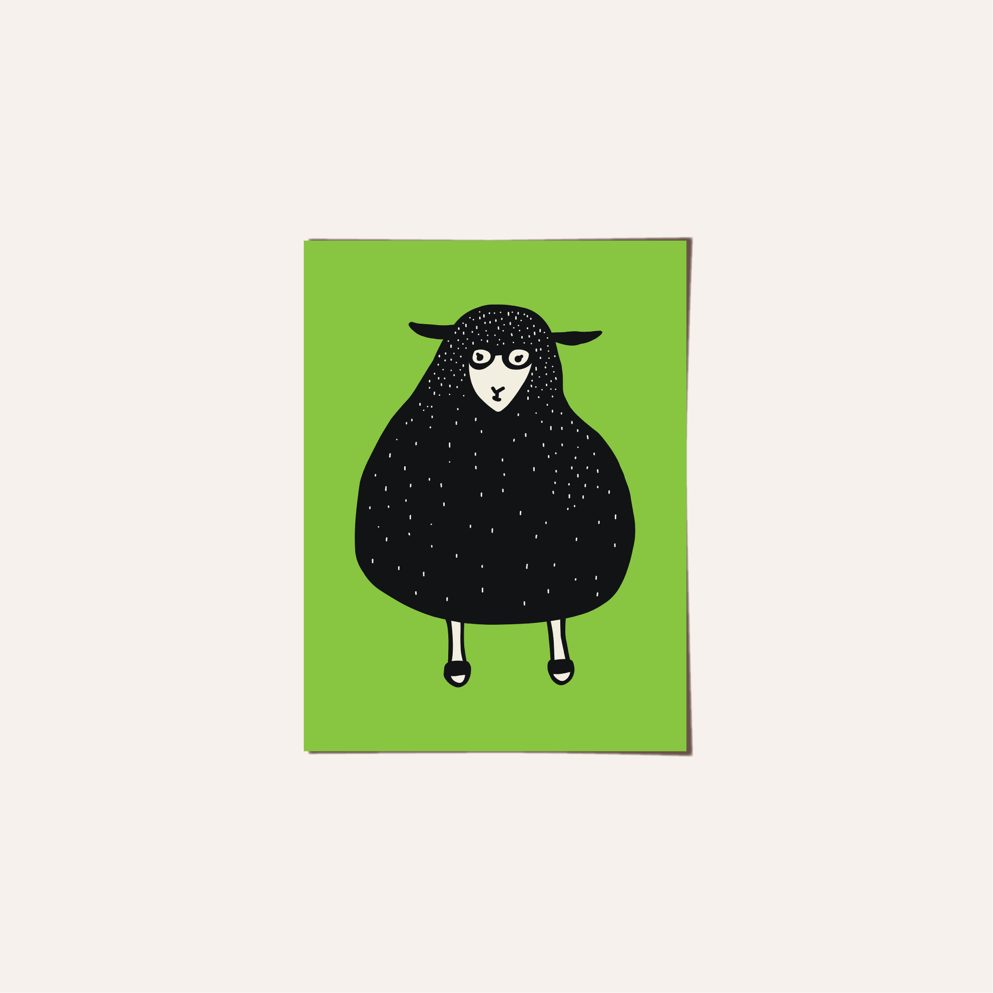 sheep