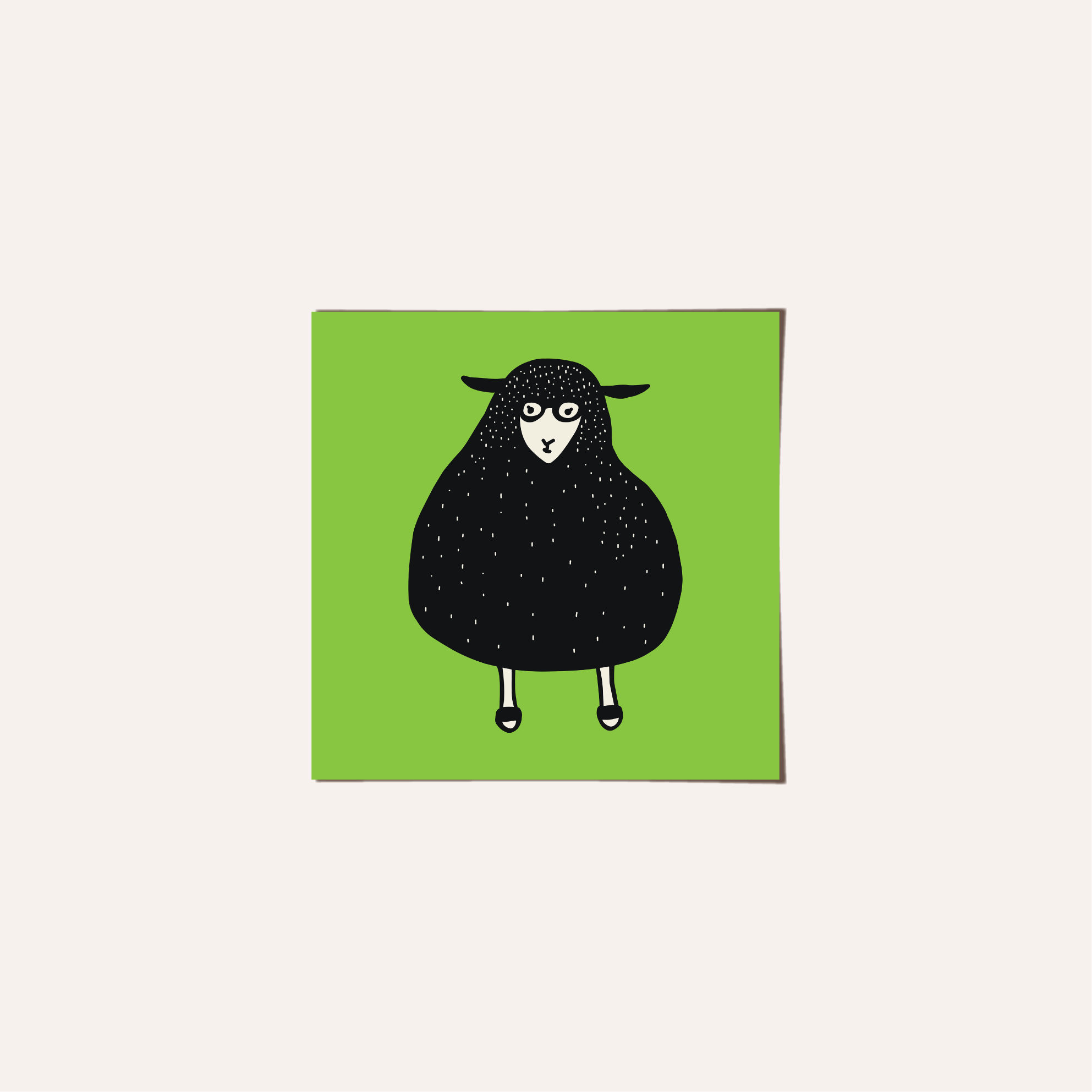 sheep