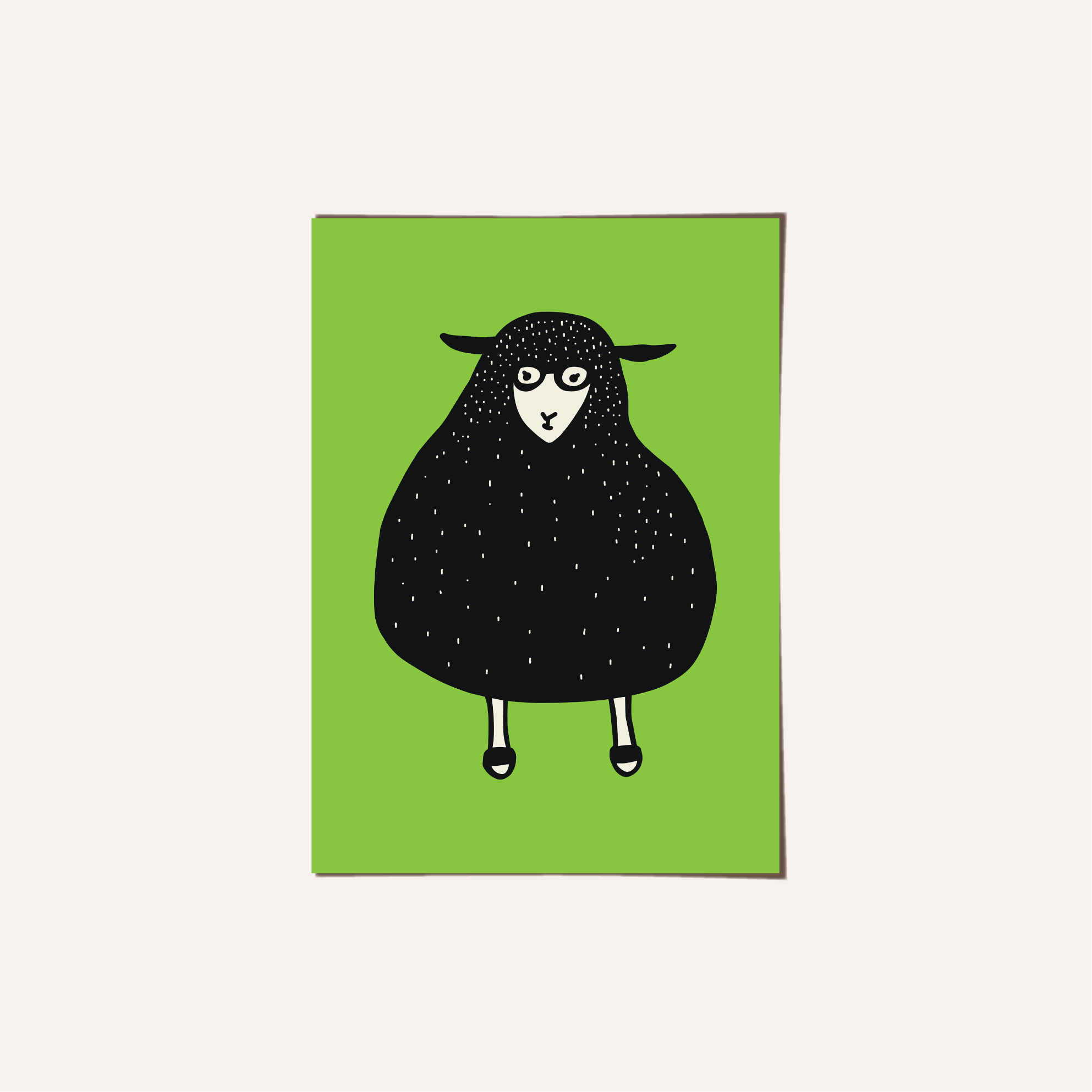 sheep