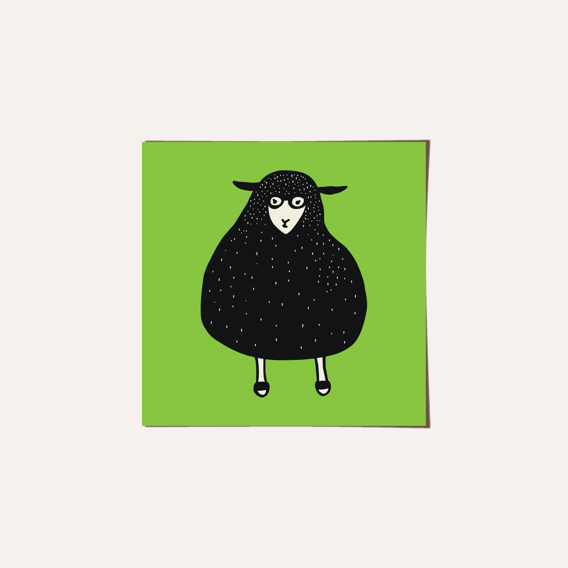 sheep
