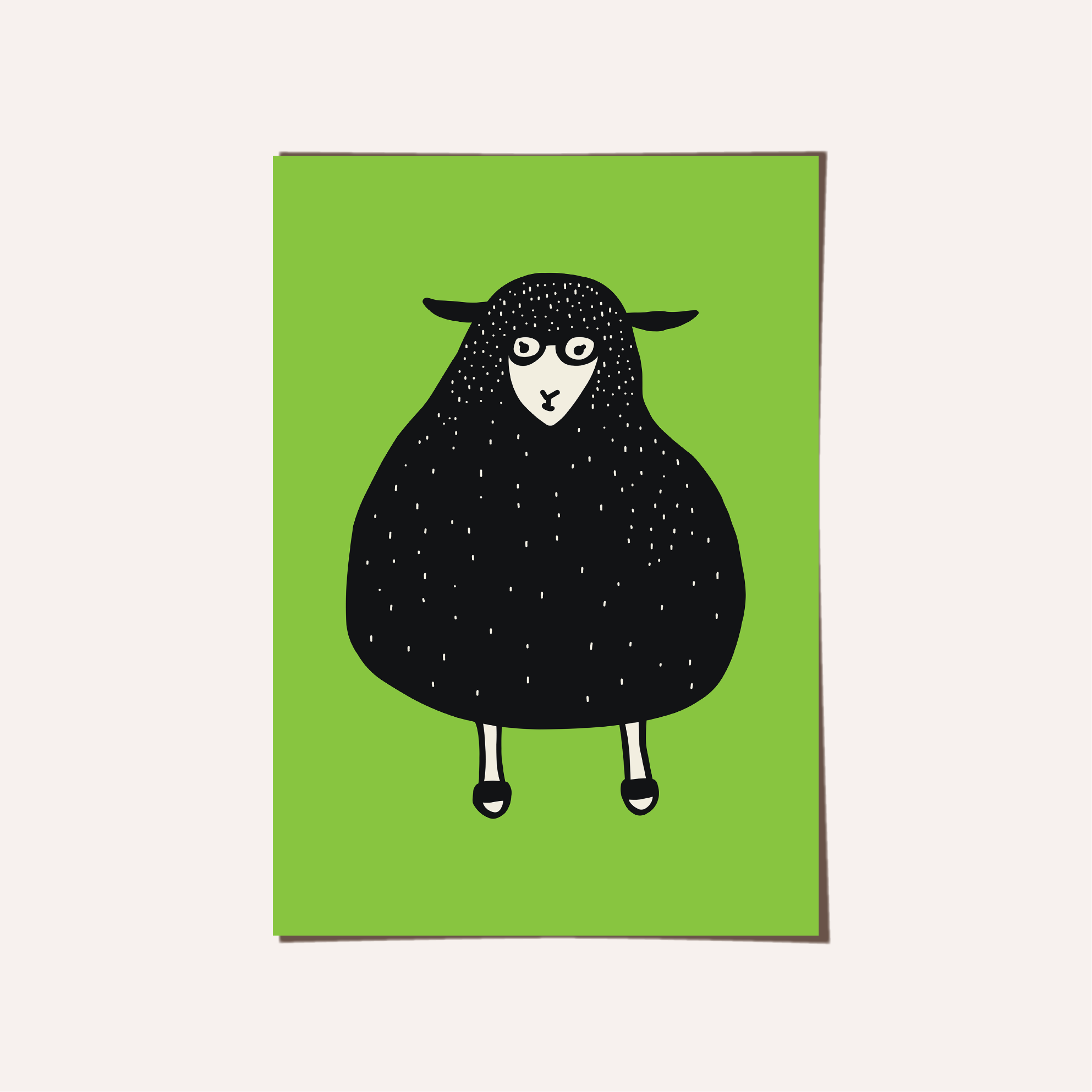 sheep